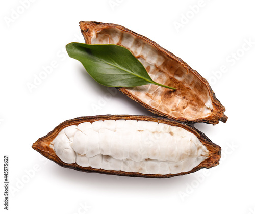 Fresh cocoa fruit on white background