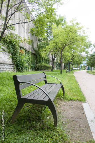 Bench in the summer park with green trees.