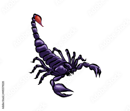 scorpion tattoo vector art