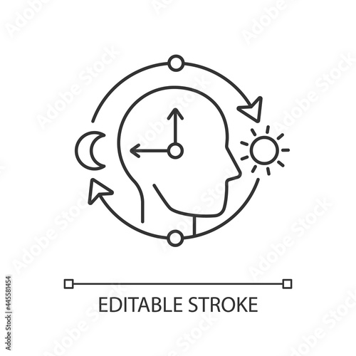 Circadian rhythms linear icon. Internal daily clock. Optimize cognitive function for daytime. Thin line customizable illustration. Contour symbol. Vector isolated outline drawing. Editable stroke