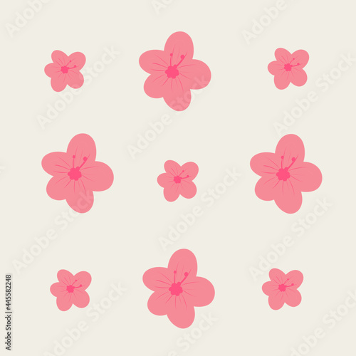 Fototapeta Naklejka Na Ścianę i Meble -  pink flower background
