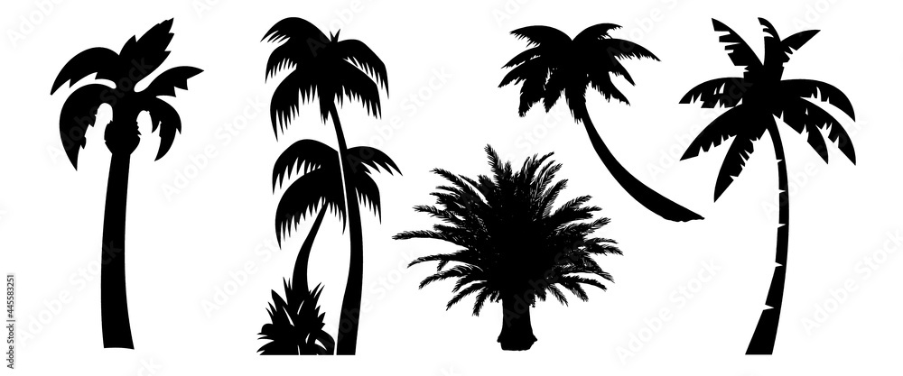 Palm Set. Exotic Trees. Palm Silhouette. Isolated on White Background. Traveal Holiday Set. Vector Illustration. Tropical Mood. Nature collection. Black Illustration. Happy Holiday. 