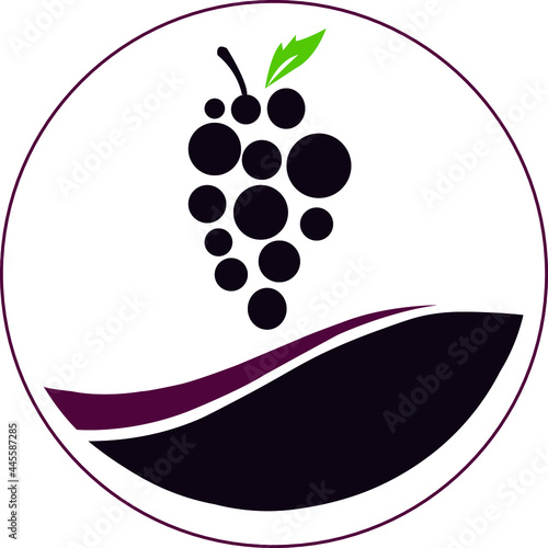 Grapes logo design template. Wine grape idea logo.