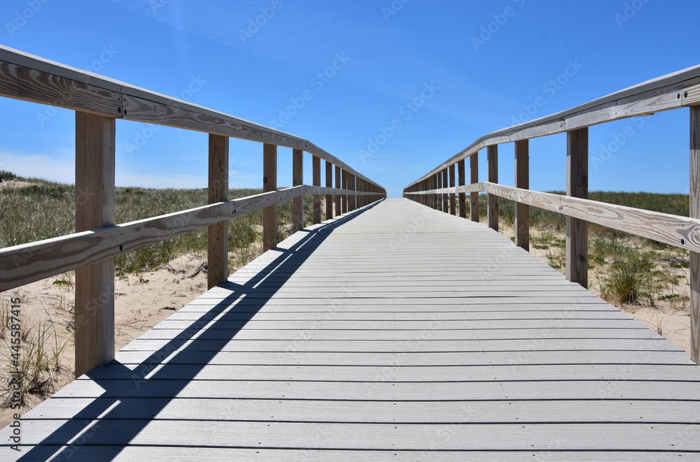 Wooden Path Way Over Sand Dunes on Cape Cod