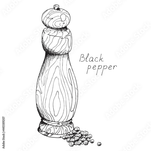 Fragrant corns of black pepper. Spicy hot condiment for cooking. Classic vintage wooden pepper mill. Tool for the kitchen. Isolated clipart set on white background. Hand-drawn ink sketch.