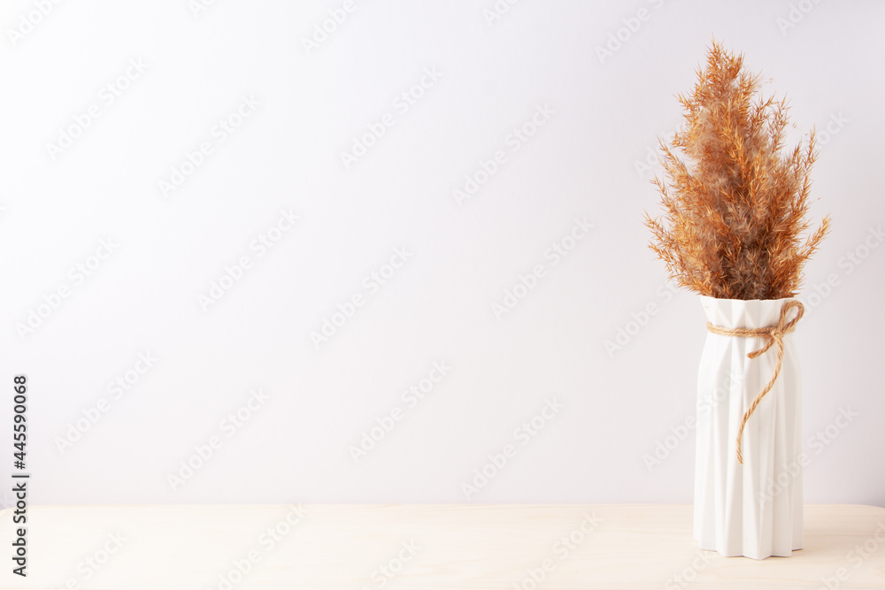 Home decoration with pampas over white wall. Interior design concept. Close up, copy space