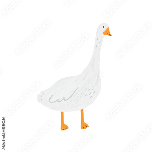 Cute goose illustration isolated on white background. Cartoon, hand drawn style with light texture. Clip art.