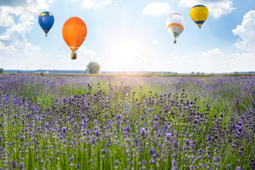 balloon on the background of sky and lavender field