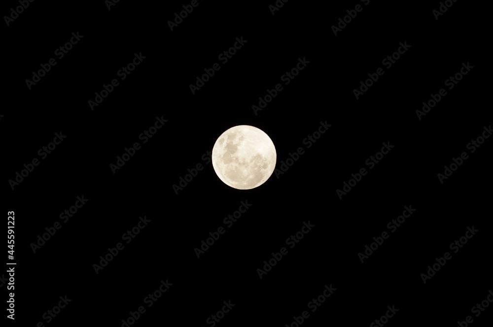 Full pink moon over new south wales sky in Australia Full pink moon over new south wales sky in Australia