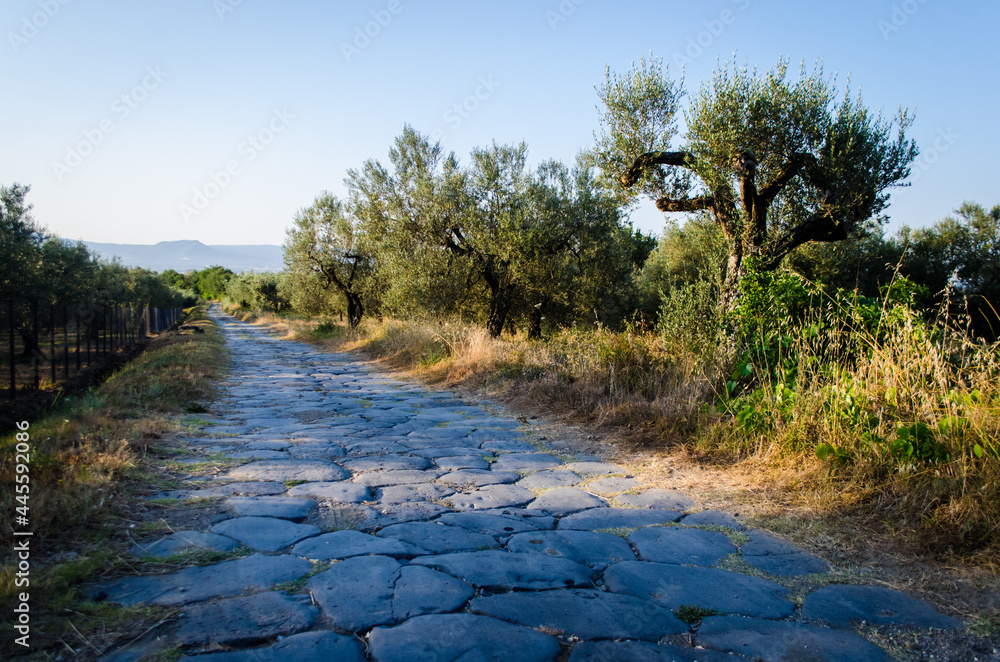 Gli antichi basolati di una strada romana lungo la Via Francigena dalle parti di Viterbo Gli antichi basolati di una strada romana lungo la Via Francigena dalle parti di Viterbo