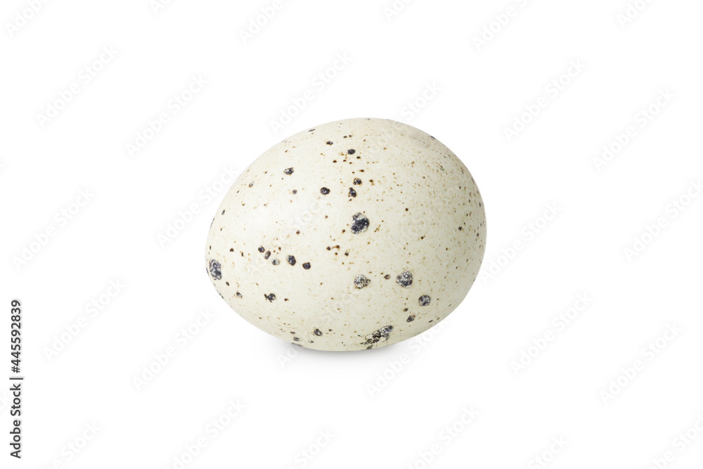 Quail egg on an isolated white background. Quail egg on an isolated white background.
