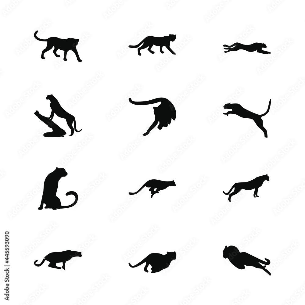 Cheetah animal icon design various poses Cheetah animal icon design various poses