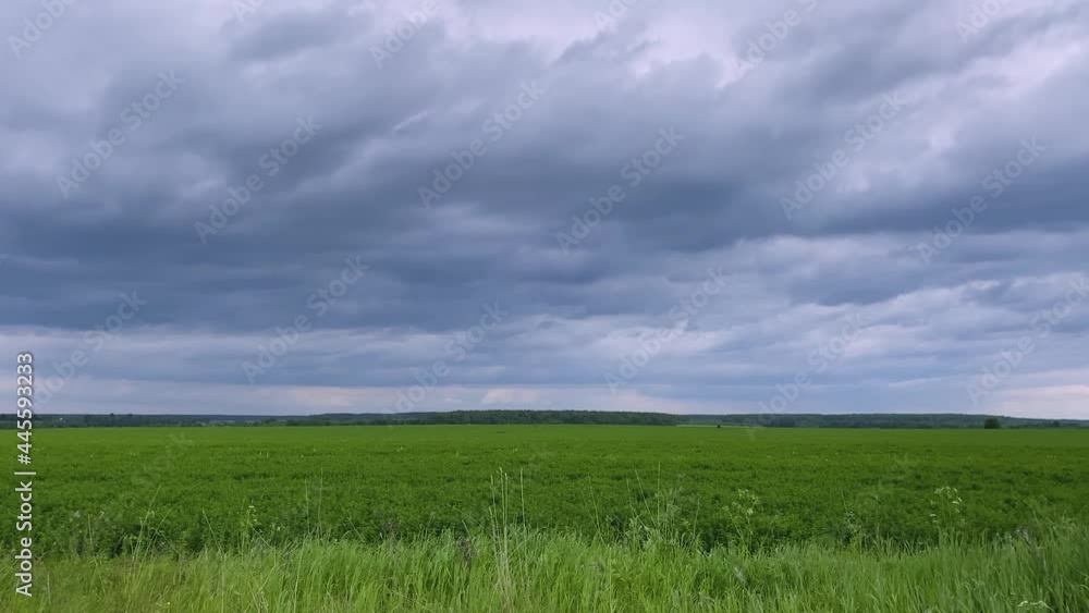 Huge purple storm clouds over a green field. WInd. Copy space
Huge purple storm clouds over a green field. WInd. Copy space