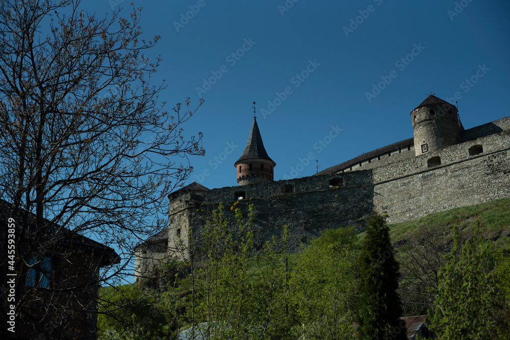Fototapeta premium castle in the evening