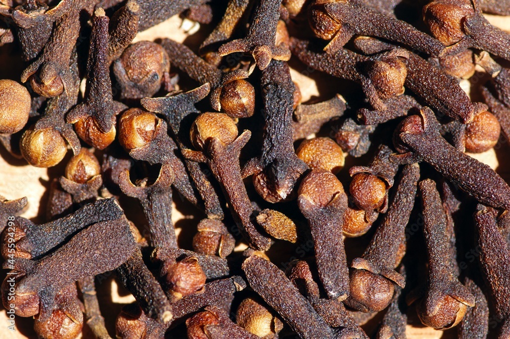 Top view of dried clove seeds, in shallow focus Top view of dried clove seeds, in shallow focus