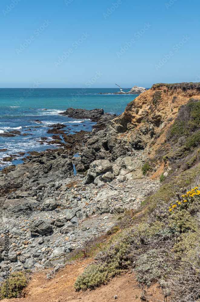 San Simeon, CA, USA - June 8, 2021: Pacific Ocean coastline north of town. Portrait of Piedras Blankas island in blue-azure ocean and low brown and black cliffs with white surf.
