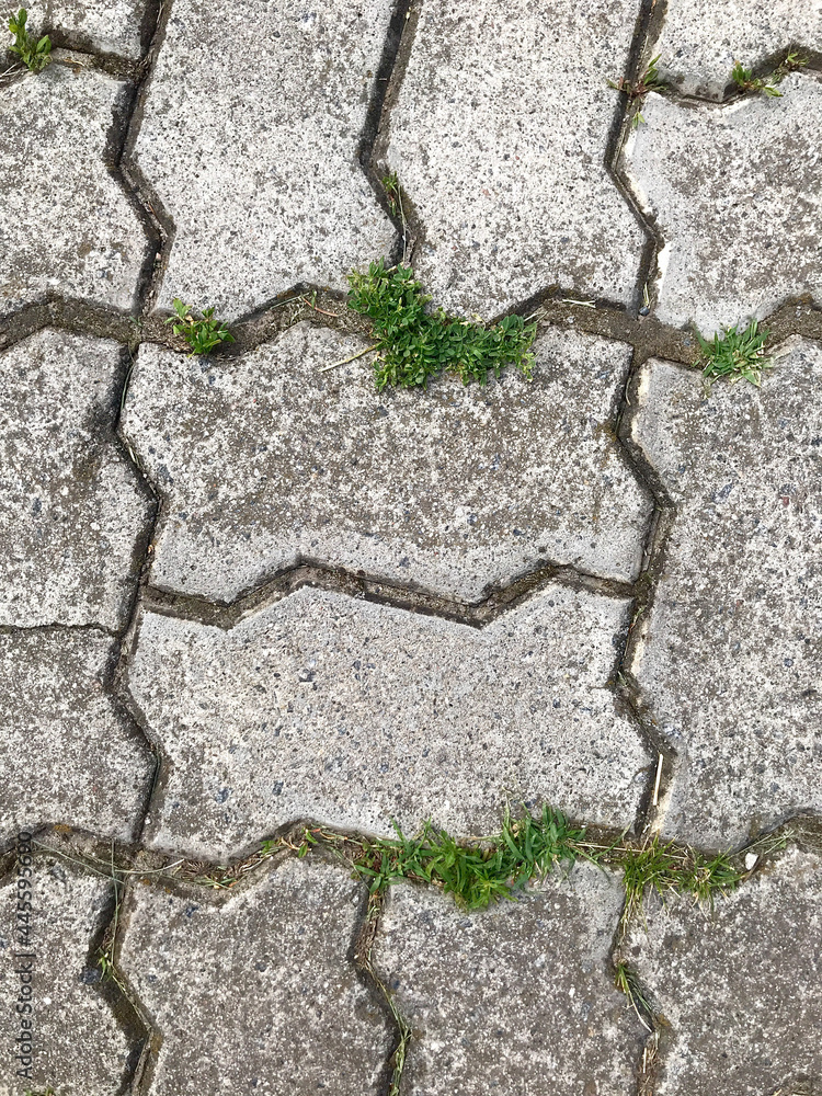 Obraz premium paving slabs