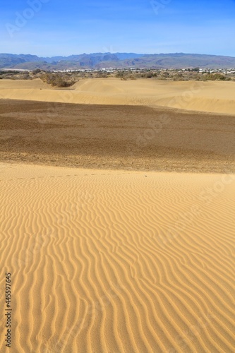 Gran Canaria Maspalomas sand dunes