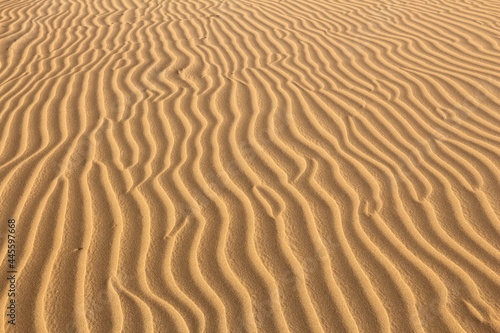 Sand desert ripples background