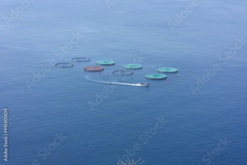 Special farm nets for growing shellfish and fish in the open atlantic ocean with a boat. Hiking experience in Reserva Natural da Ponta de São Lourenço ( Point of Saint Lawrence) PR8 Madeira. Portugal photo