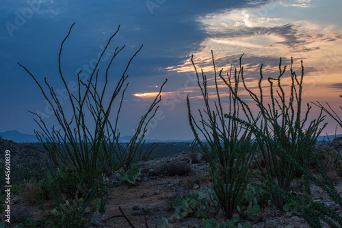 sunset colors over desert landscape