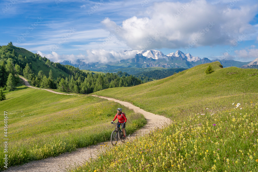 nice and active senior woman riding her electric mountain bike on the Pralongia Plateau in the Alta Badia Dolomites with glacier of Marmolata summit in Background, South Tirol and Trentino, Italy

