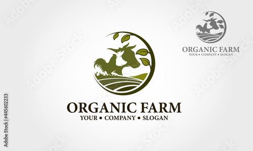 Organic Farm Vector Logo Template. Excellent Chicken and Poultry Farm logo template. Logo could be used as the main identity element of organic farm or store, vegetarian or vegan restaurant.