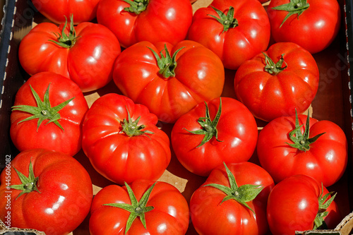 Organic raw tomatoes in market