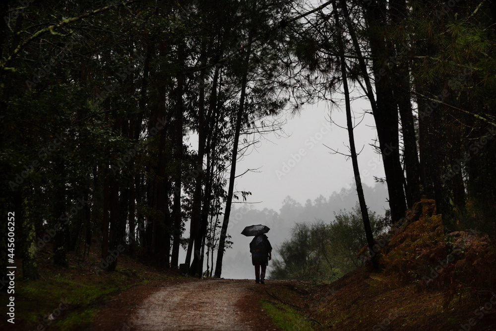 Peregrino se protege de la lluvia en el Camino de Santiago Portugués en Aldea Bascuas, A Esclavitude. Peregrino se protege de la lluvia en el Camino de Santiago Portugués en Aldea Bascuas, A Esclavitude.