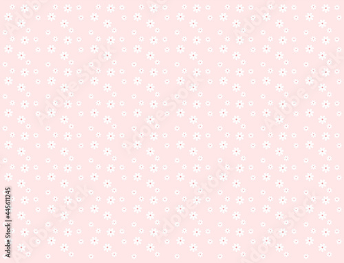 Lovely pattern with white flowers on pink background, flat design, cute round flower plant nature collection, summer flowers, decoration elements, isolated flowers, cute card, vector illustration