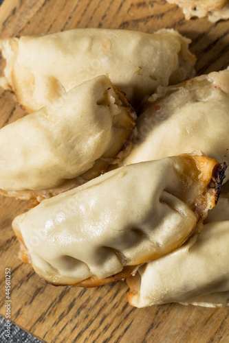 Healthy Homemade Asian Potstickers