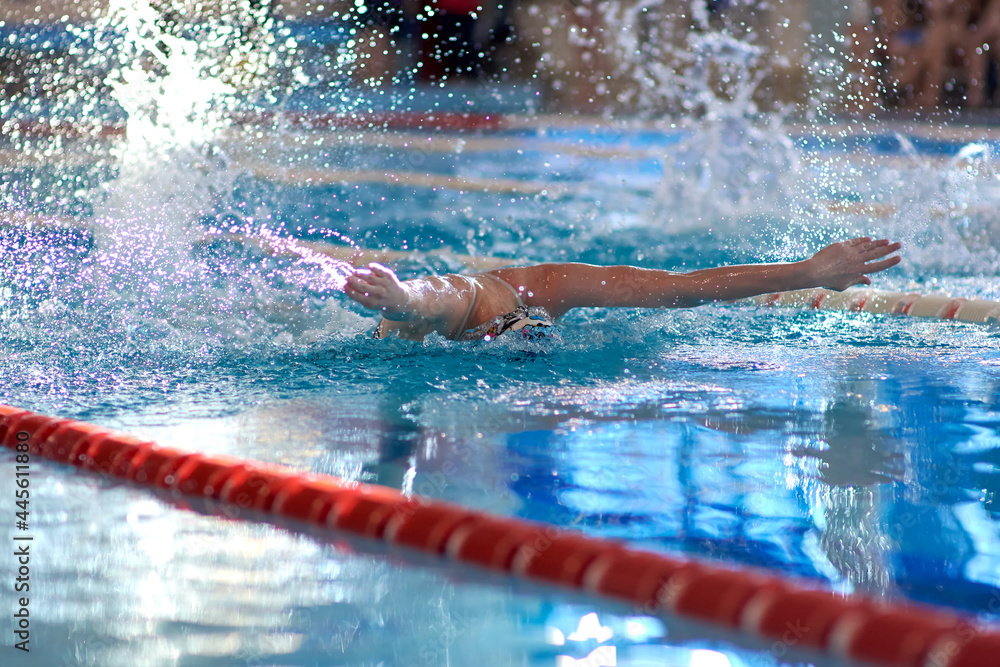 a swimmer waves his arms while performing a butterfly at a training session in the pool, blurred focus