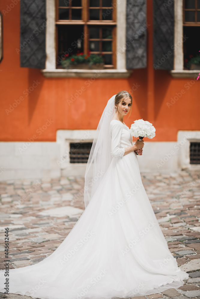 Fototapeta premium Portrait of a beautiful fashion bride, sweet and sensual. Wedding make up and hair