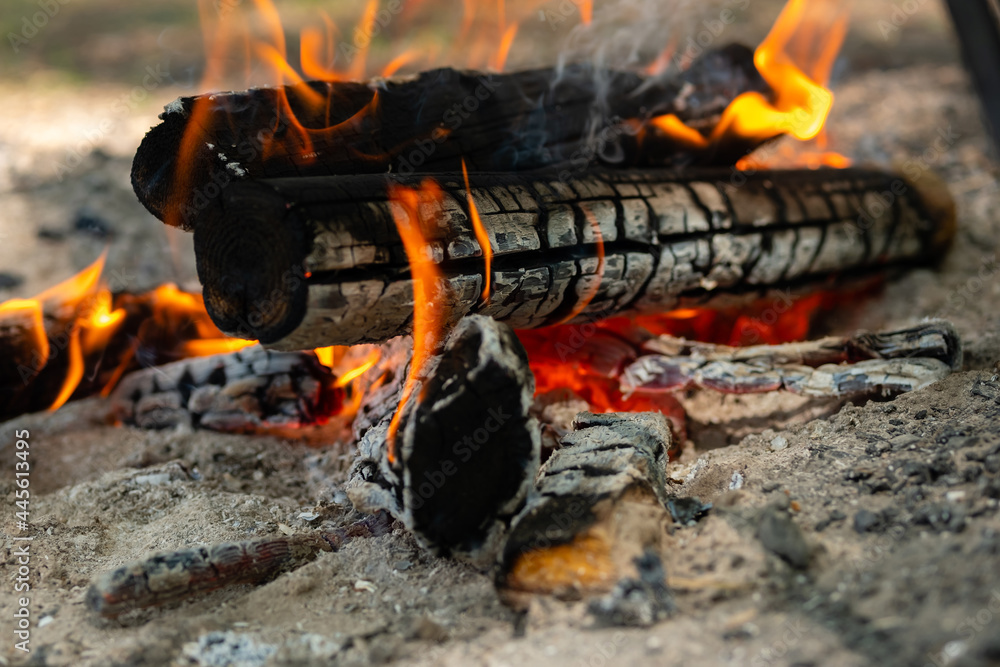 Bonfire in summer forest on camping. Flames and smoke burning firewood. Bonfire in summer forest on camping. Flames and smoke burning firewood.