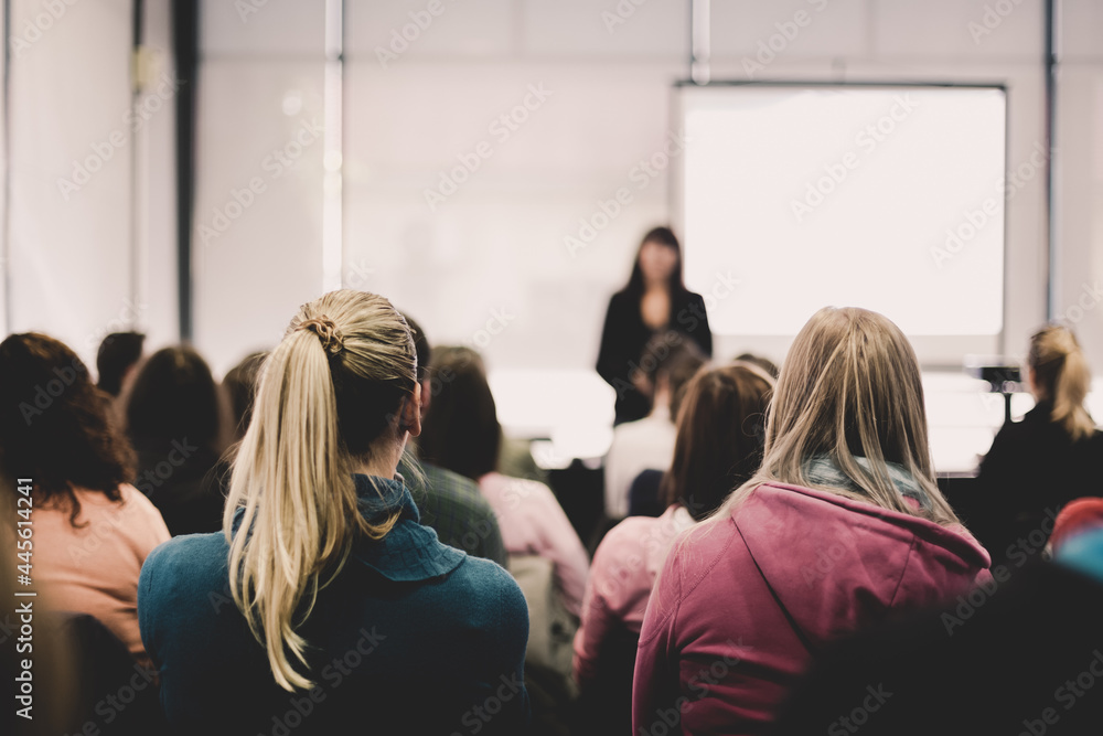 Obraz premium Lecture at university.