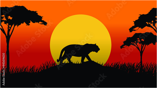 Vector Landscape Illustration of Beautiful mountain landscape with Tiger, Africa tree, and forest. sunrise and sunset in mountains.