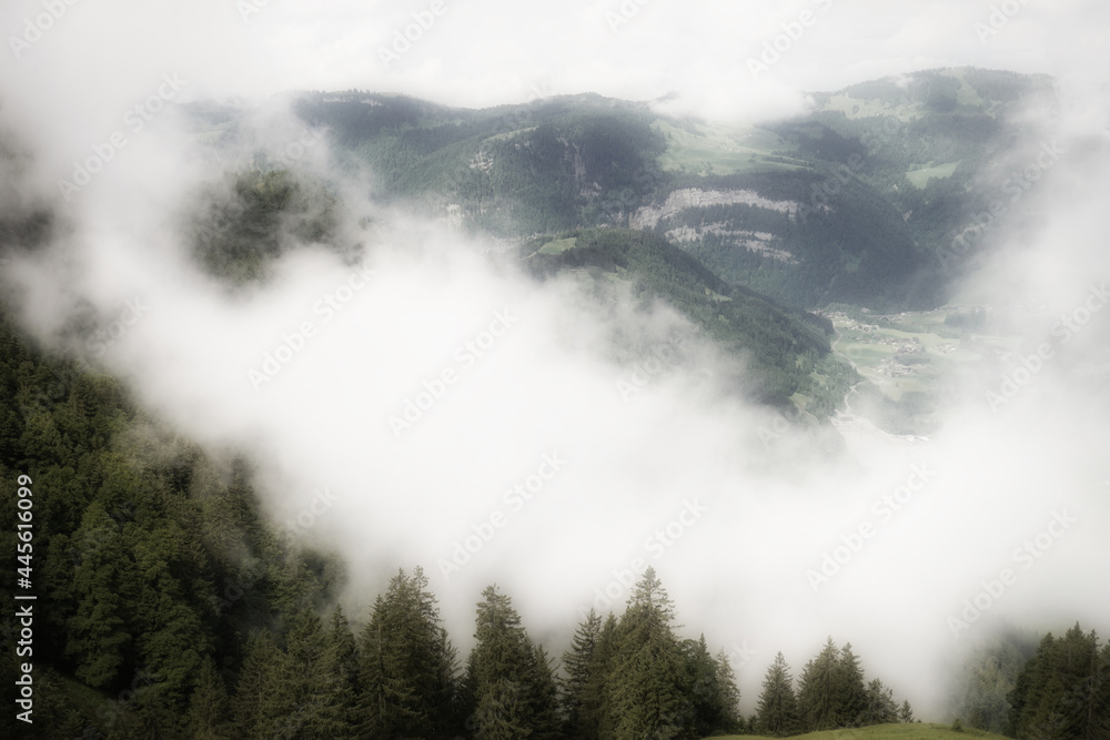 Cloud-capped forest and mountains. Misty morning in the Alps, mystical and dreamy.