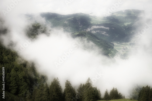 Cloud-capped forest and mountains. Misty morning in the Alps, mystical and dreamy. © K I Photography