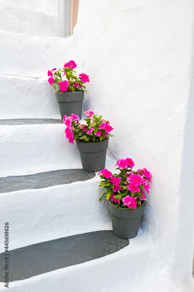 Flower Pots on White Stairs in Mykonos, Greece