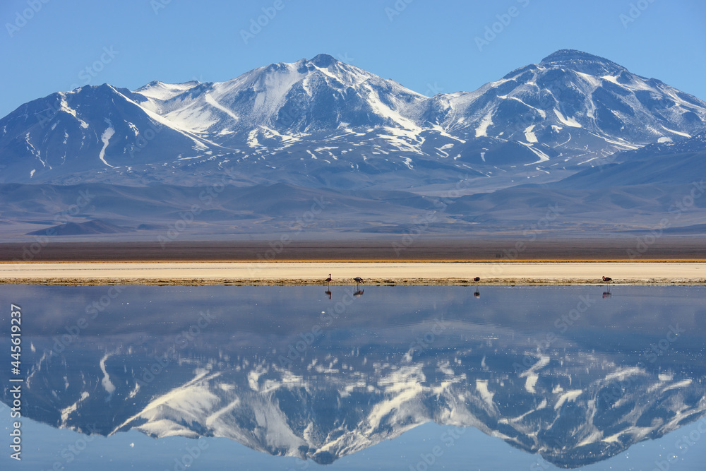 foto-de-snow-covered-nevado-volcano-tres-cruces-reflecting-in-a-high