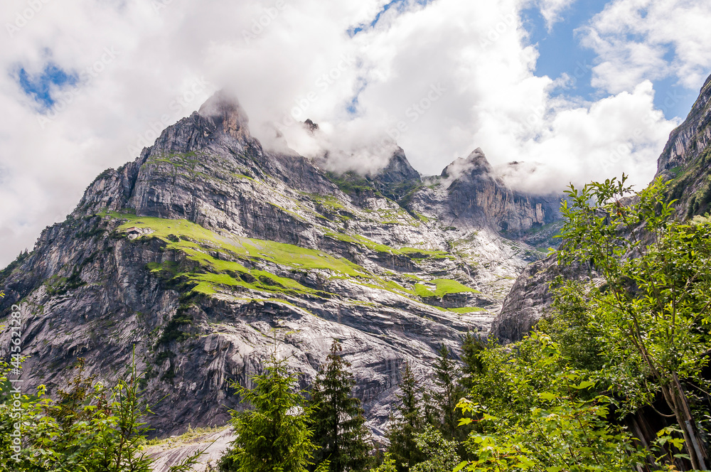 Grindelwald, Wetterhorn, Wanderweg, Grosse Scheidegg, Milchbach, Oberer Grindelwaldgletscher, Glecksteinhütte, Berglistock, Alpen, Berner Oberland, Sommer, Schweiz Grindelwald, Wetterhorn, Wanderweg, Grosse Scheidegg, Milchbach, Oberer Grindelwaldgletscher, Glecksteinhütte, Berglistock, Alpen, Berner Oberland, Sommer, Schweiz