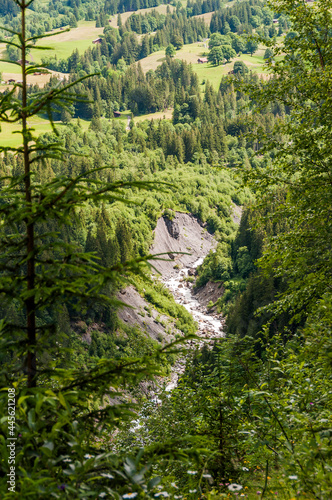 Grindelwald  Wetterhorn  Oberer Grindelwaldgletscher  Gletschersand  Bergbach  Schwarze L  tschinen  Wanderweg  Grosse Scheidegg  Milchbach  Glecksteinh  tte  Alpen  Berner Oberland  Sommer  Schweiz