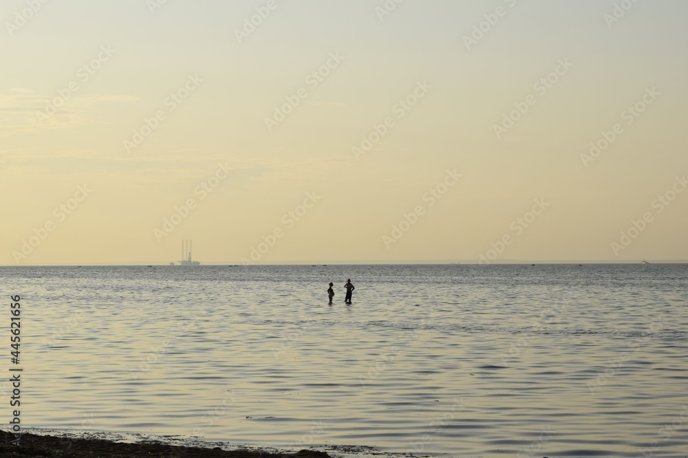 Fototapeta premium sunset on the beach