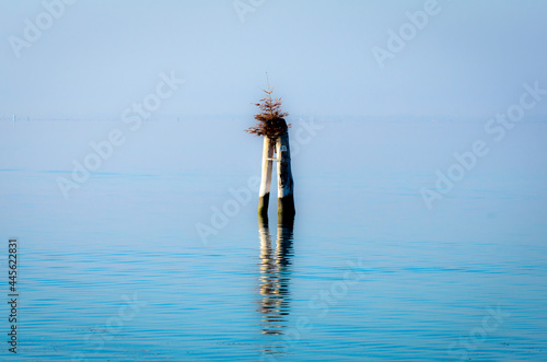 Una briccola con sopra un piccolo albero di natale in una giornata di bonaccia a Pellestrina, nella laguna di Venezia photo