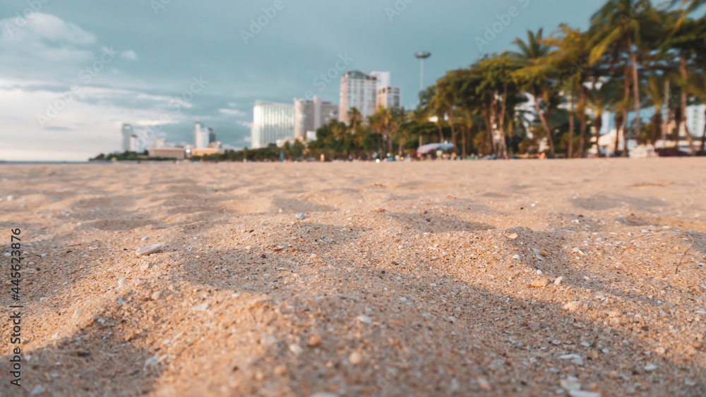 sandy beach with shells and the tall buildings of coastal cities
