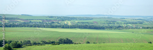 Beautiful panorama of agricultural fields and hills on a summer day in Ukraine © onyx124