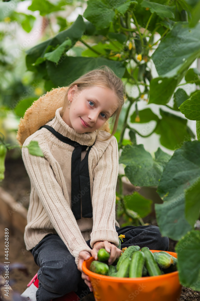 happy blonde girl in a greenhouse with cucumbers in her hands, plant care, gardening concept for children. happy blonde girl in a greenhouse with cucumbers in her hands, plant care, gardening concept for children.