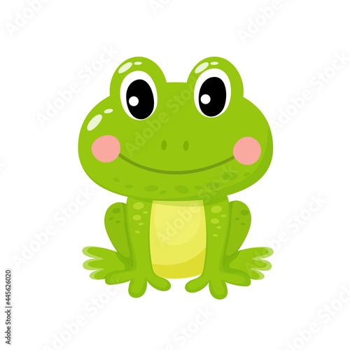 Vector illustration of cute green frog on a white background in cartoon style.