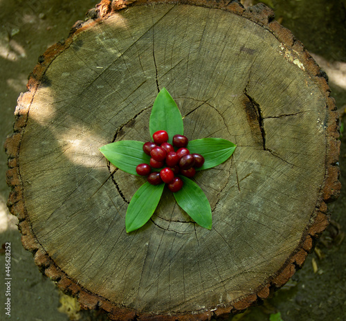 on a wooden bench,theis a freshly picked berry on the leaf