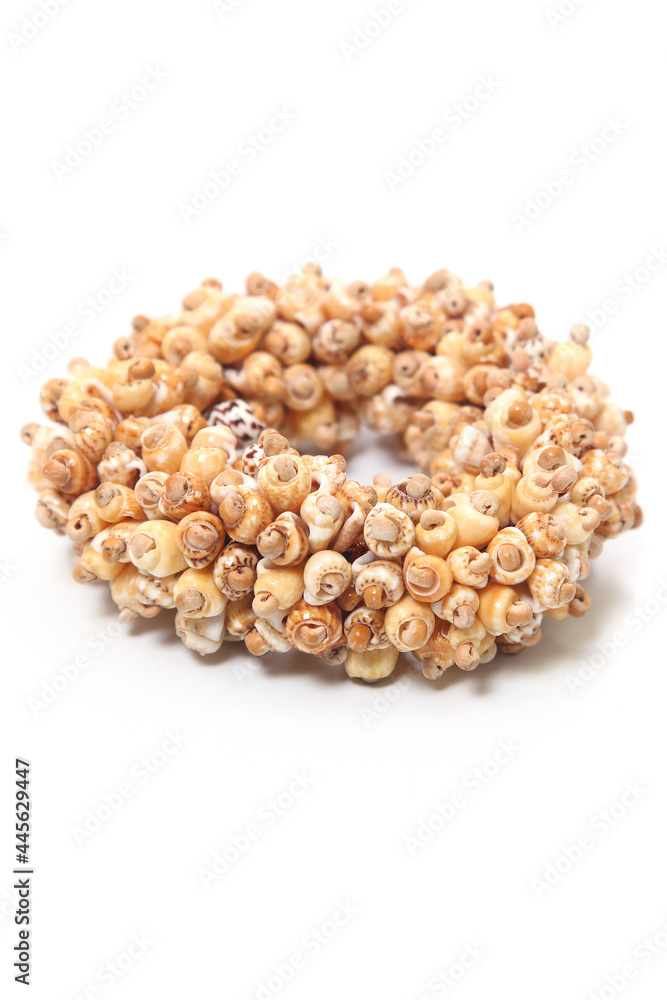 Obraz premium seeds on white background